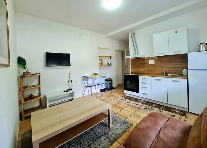 Roko * Zadar